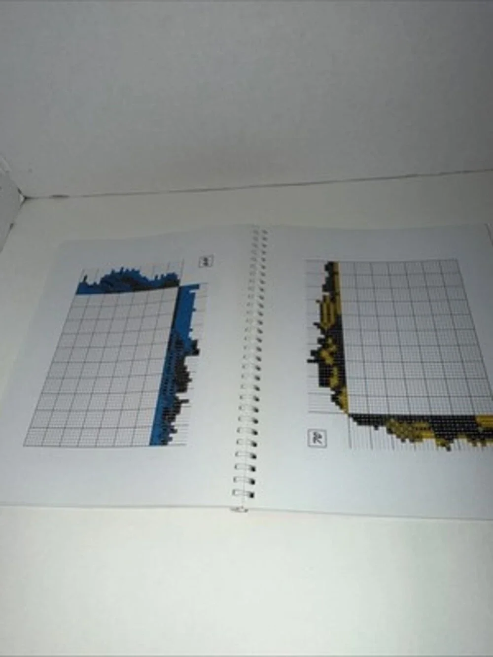 Rare TWO-COLOR PAINT-DOKU By Conceptis Puzzles (the First 2 Puzzles Are Done)